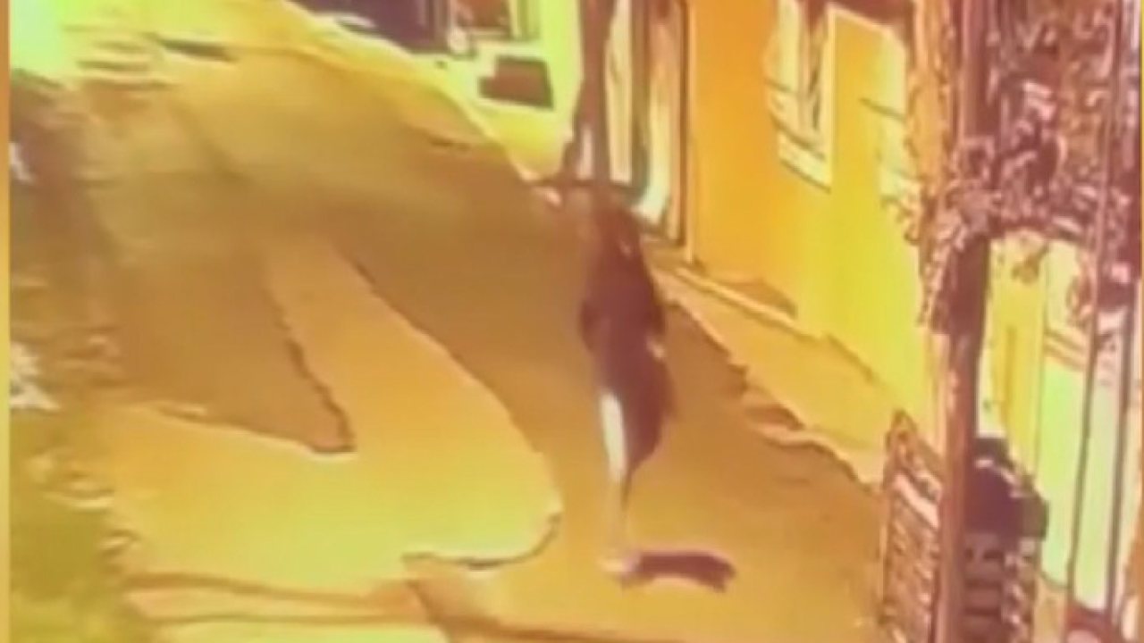 İstanbul Pendik’te Kurye Silahlı Saldırıya Uğradı